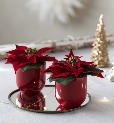 Harmoni blomsterpotte rød 8 cm Harmoni blomsterpotte rød 8 cm